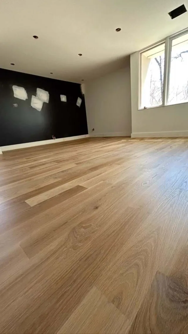 Light oak floor in a room with a black accent wall