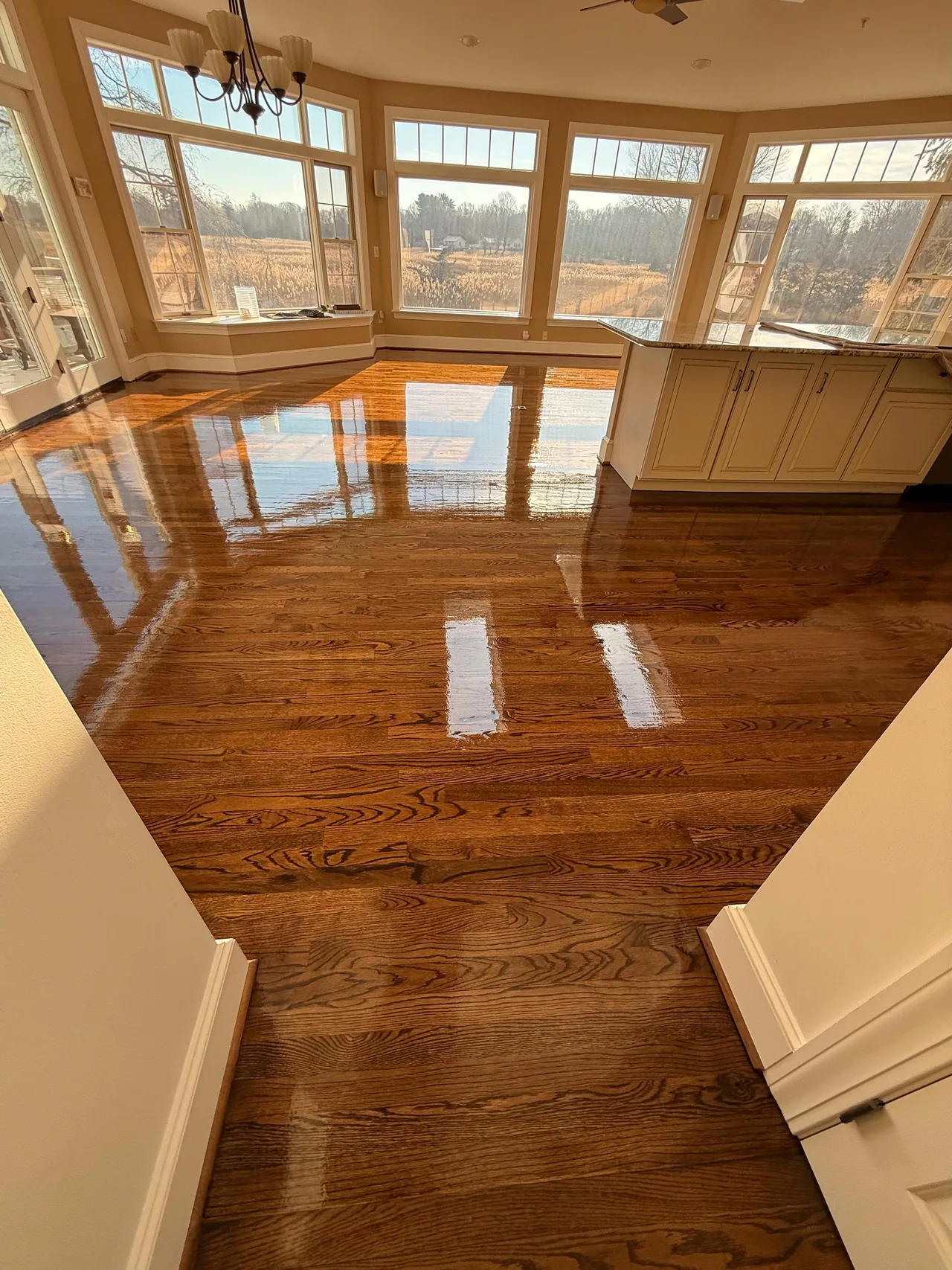 Glossy refinished floor in a sunroom with tall windows